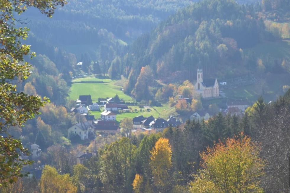 Gemuetliche Ferienwohnung - Prein An Der Rax Extérieur photo