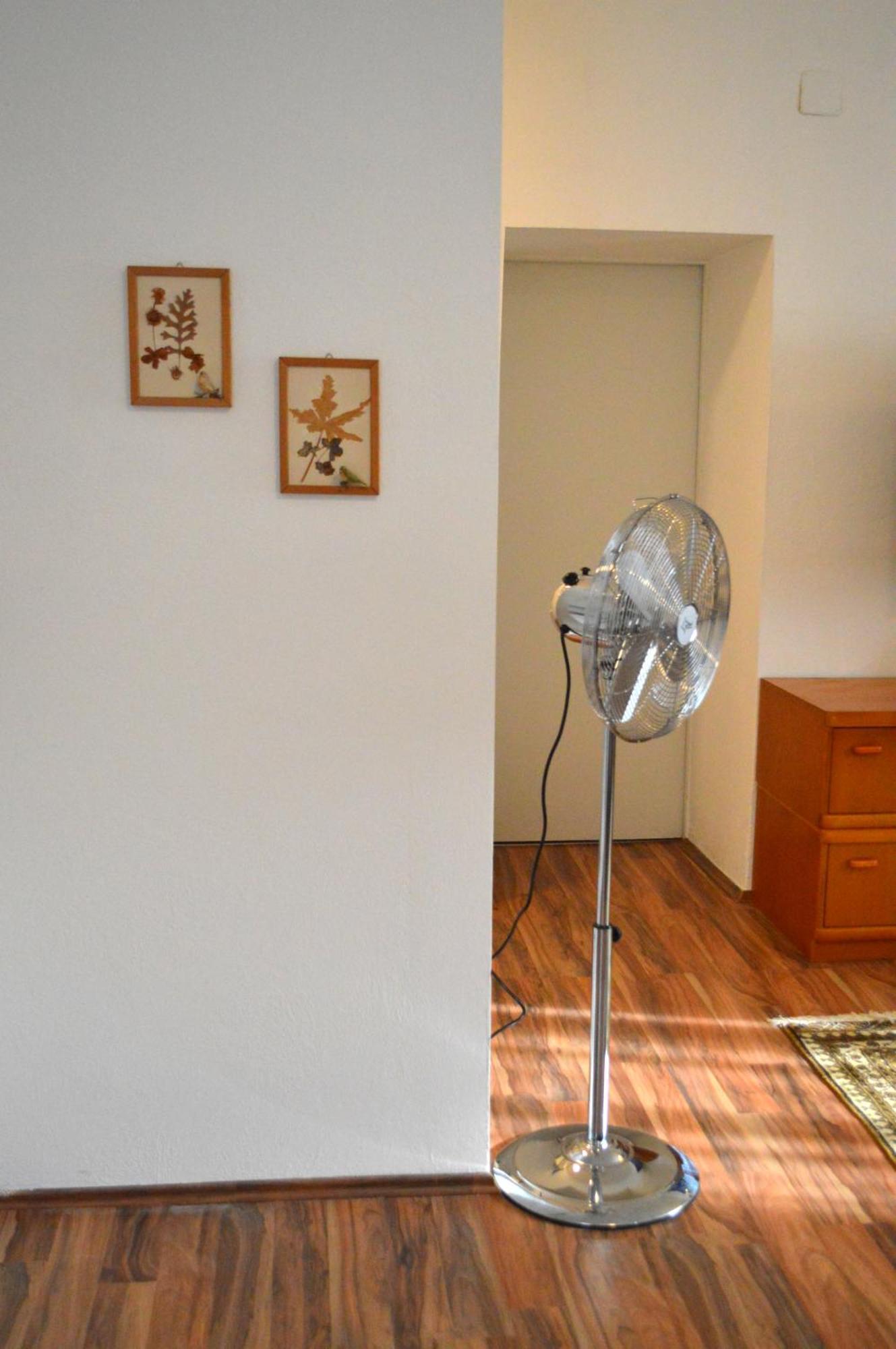 Gemuetliche Ferienwohnung - Prein An Der Rax Extérieur photo